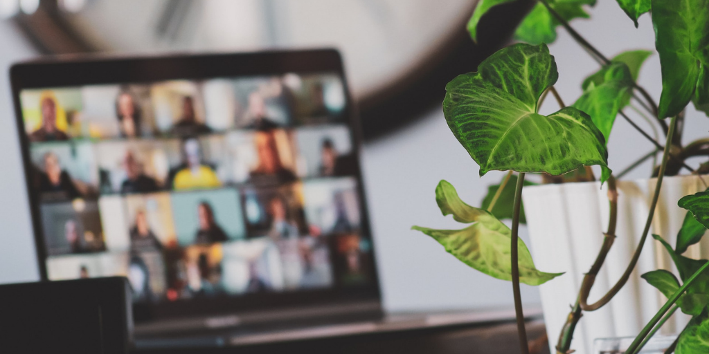 Laptop mit Videokonferenzbildern im Hintergrund unscharf, im Vordergrund Pflanze