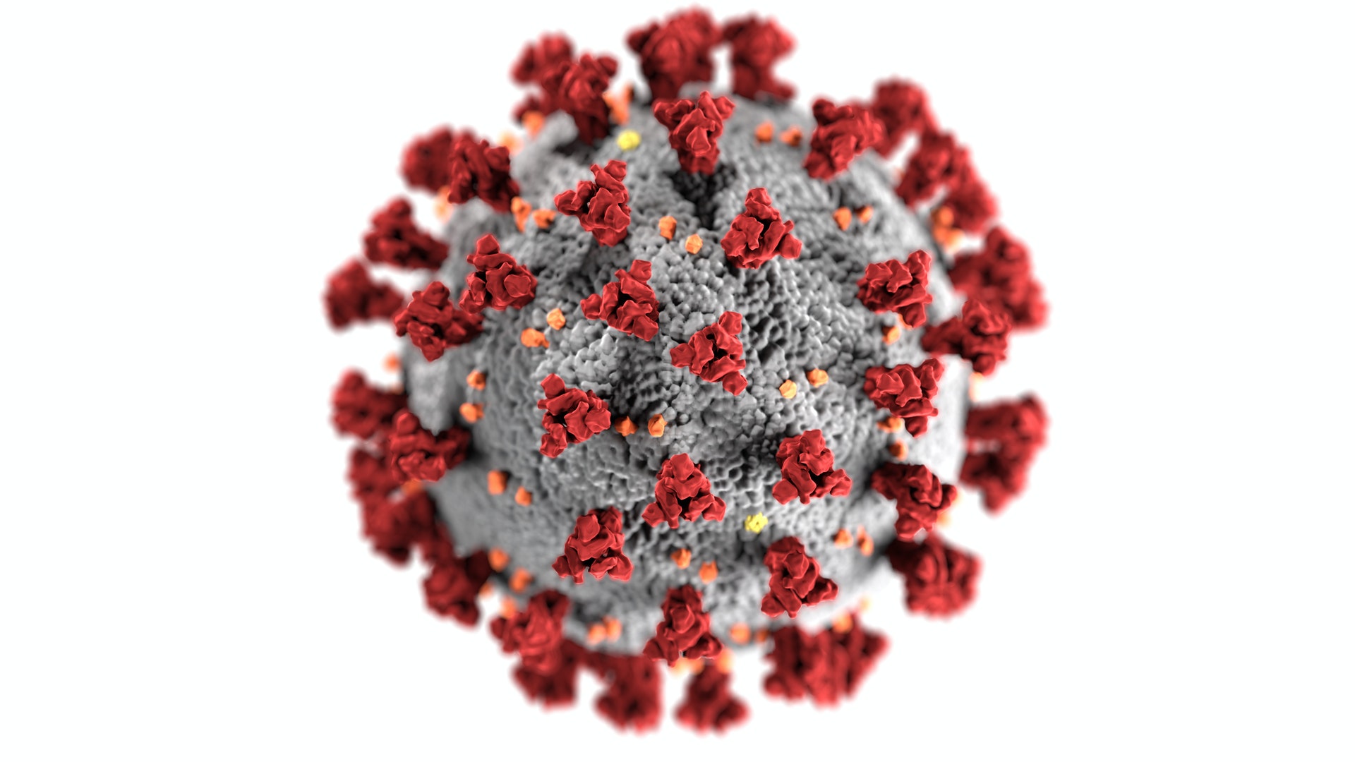 Corona-Virus Darstellung