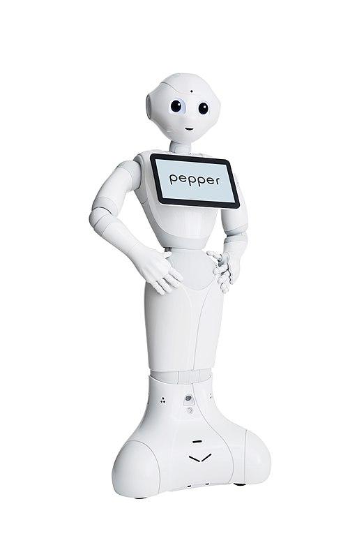 image3 Pepper the Robot