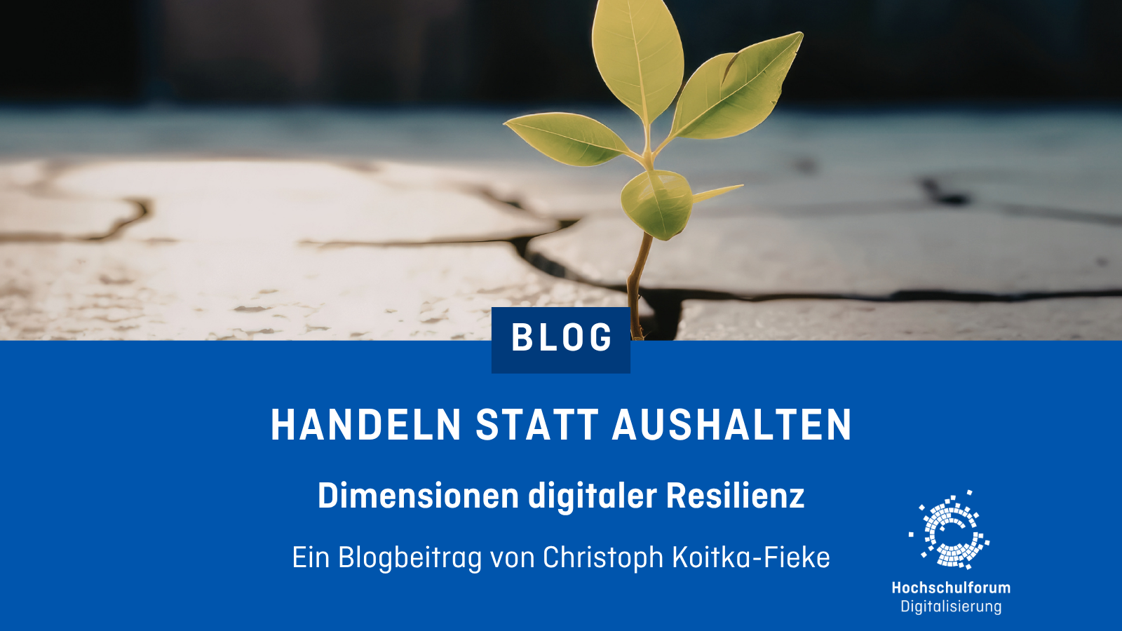 Dekoratives Bild mit dem Text: Handeln statt Aushalten. Dimensionen digitaler Resilienz. Ein Blogbeitrag von Christoph Koitka-Fieke.